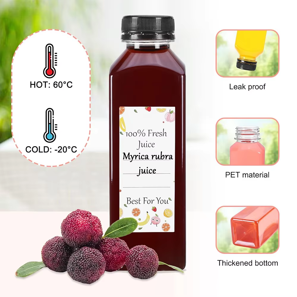 500ML Juice Bottles with Caps  - Water Bottle Blank avis et prix
